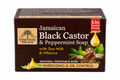 Jamaican Black Castor & Peppermint Soap with Soy Milk & Hibiscus – 6.3 oz