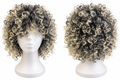 Black & Blonde Highlighted Curly Wig – Synthetic Hair