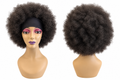 Black Human Hair Afro Wig